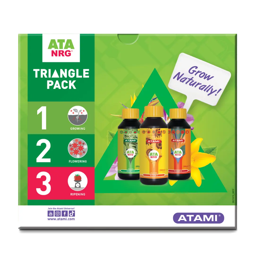 Atami Ata NRG Triangle pack