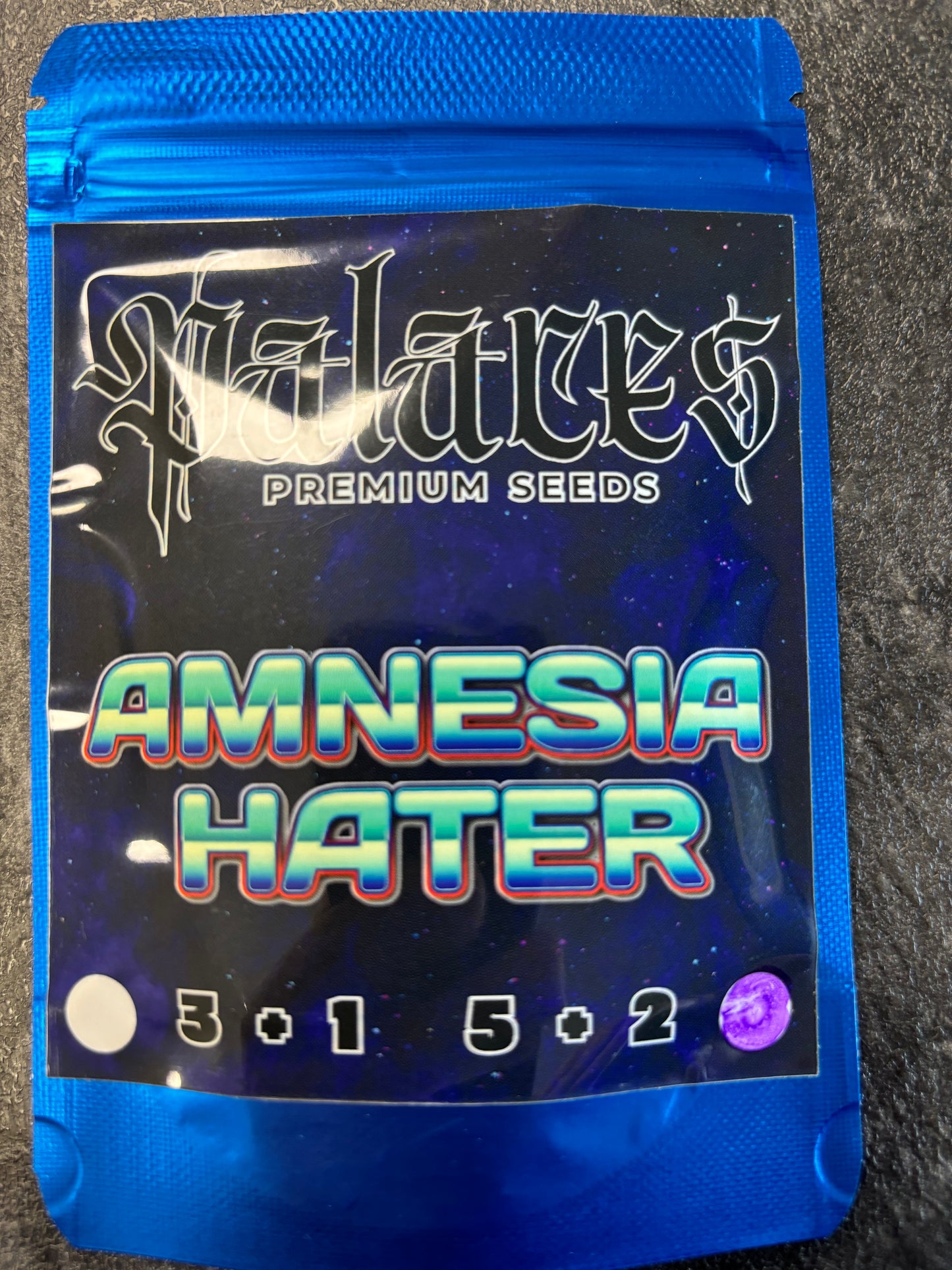 Palaces seeds Amnesia Hater