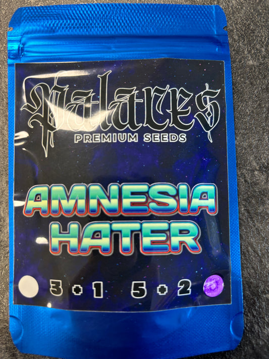 Palaces seeds Amnesia Hater