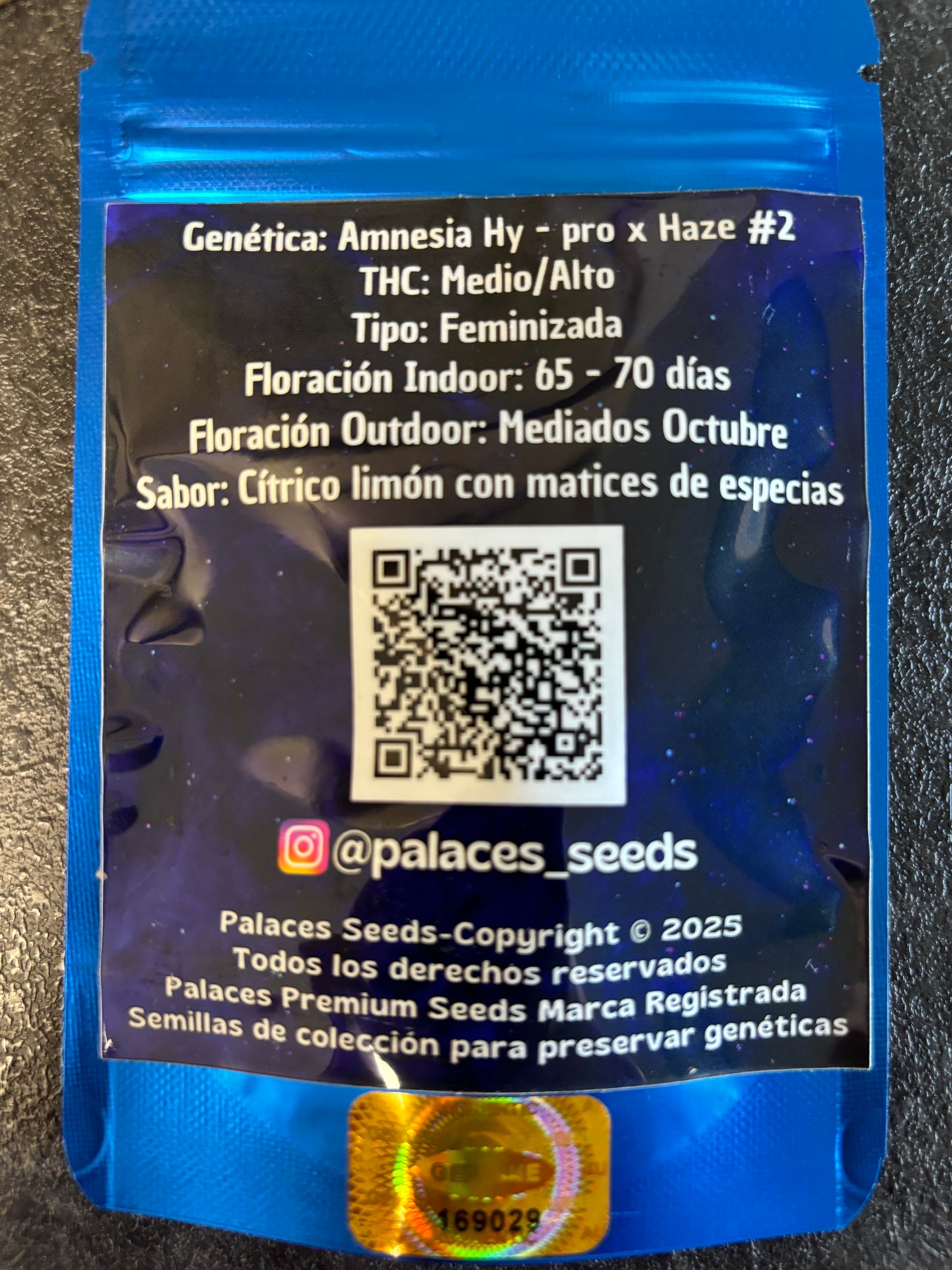 Palaces seeds Amnesia Hater