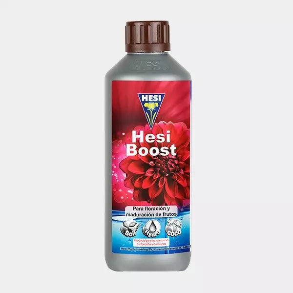 Hesi boost