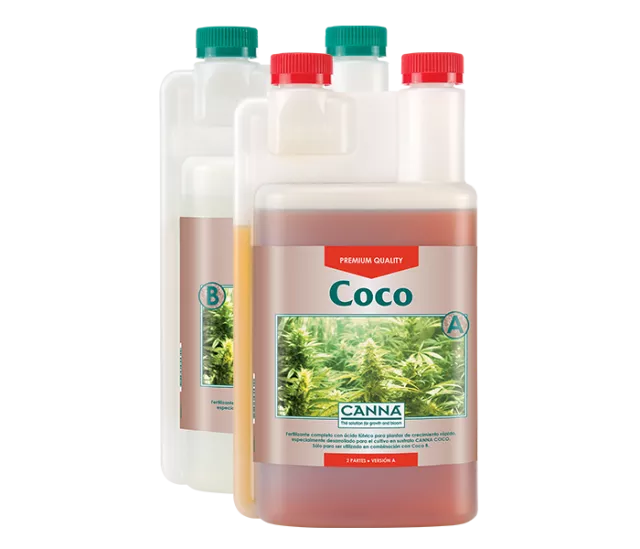 CANNA COCO B