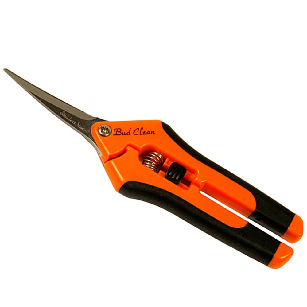 TIJERA BUD CLEAN
